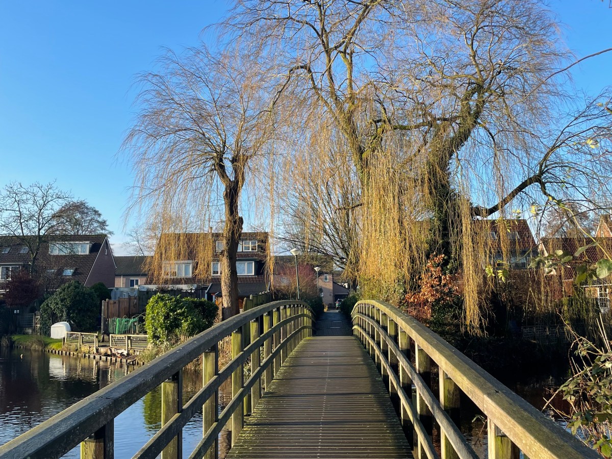 A Little Bit of&nbsp;Peace